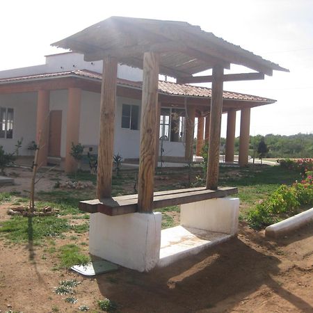 Pensjonat Little Nest En Rancho El Rossinyol Valle de Guadalupe Zewnętrze zdjęcie