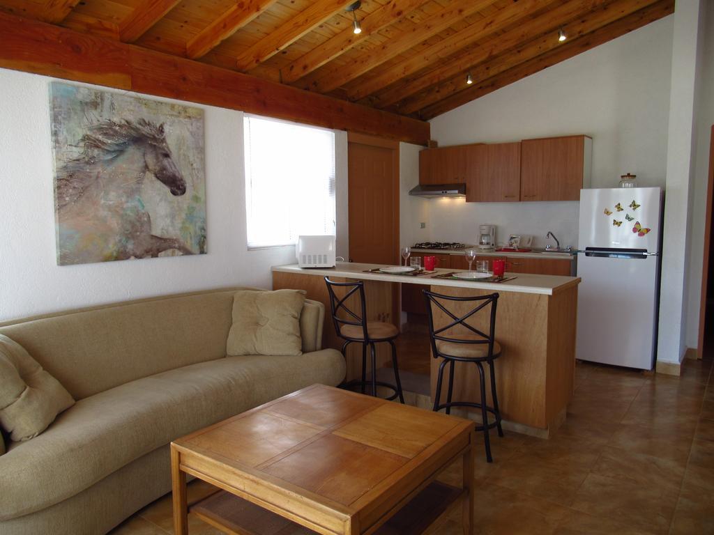 Pensjonat Little Nest En Rancho El Rossinyol Valle de Guadalupe Zewnętrze zdjęcie