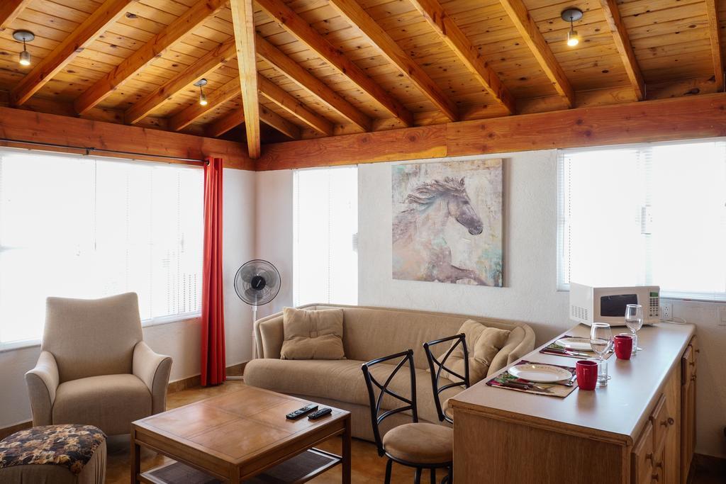Pensjonat Little Nest En Rancho El Rossinyol Valle de Guadalupe Zewnętrze zdjęcie